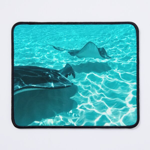 Item preview, Stingray Series 1 designed and sold by sad-squirrel.