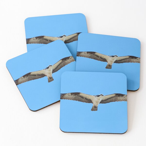 Item preview, An Osprey Hovering In The Air With Its Wings Spread Apart designed and sold by BackyardBirder.