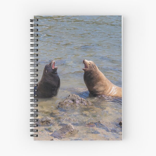 Item preview, Sea Lions Singing a Duet in the Water designed and sold by SafariByMarisa.