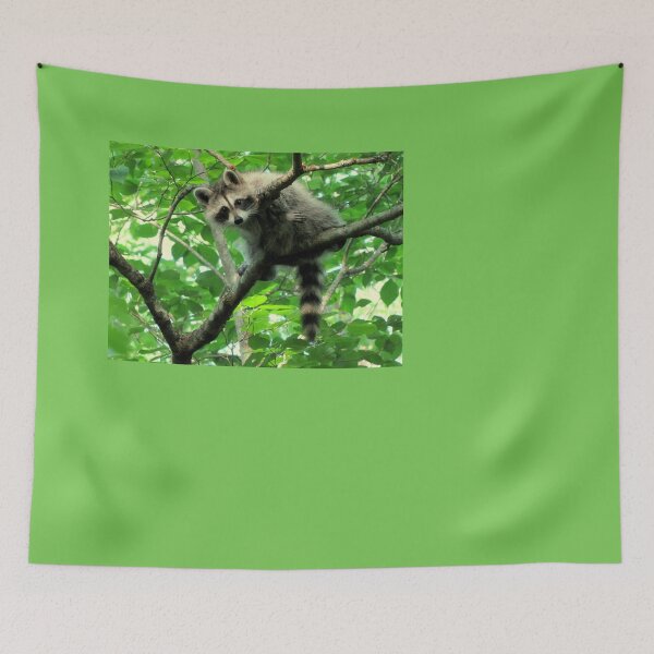 Item preview, Yeah, I'm just hangin' out. Whatchu doin'? designed and sold by Jean Gregory Evans.