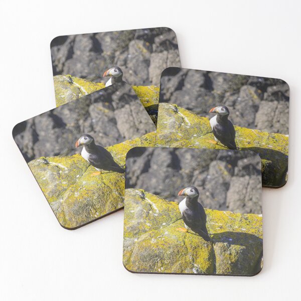 Item preview, Flattey Island Puffin designed and sold by Aaron Kleidermacher.