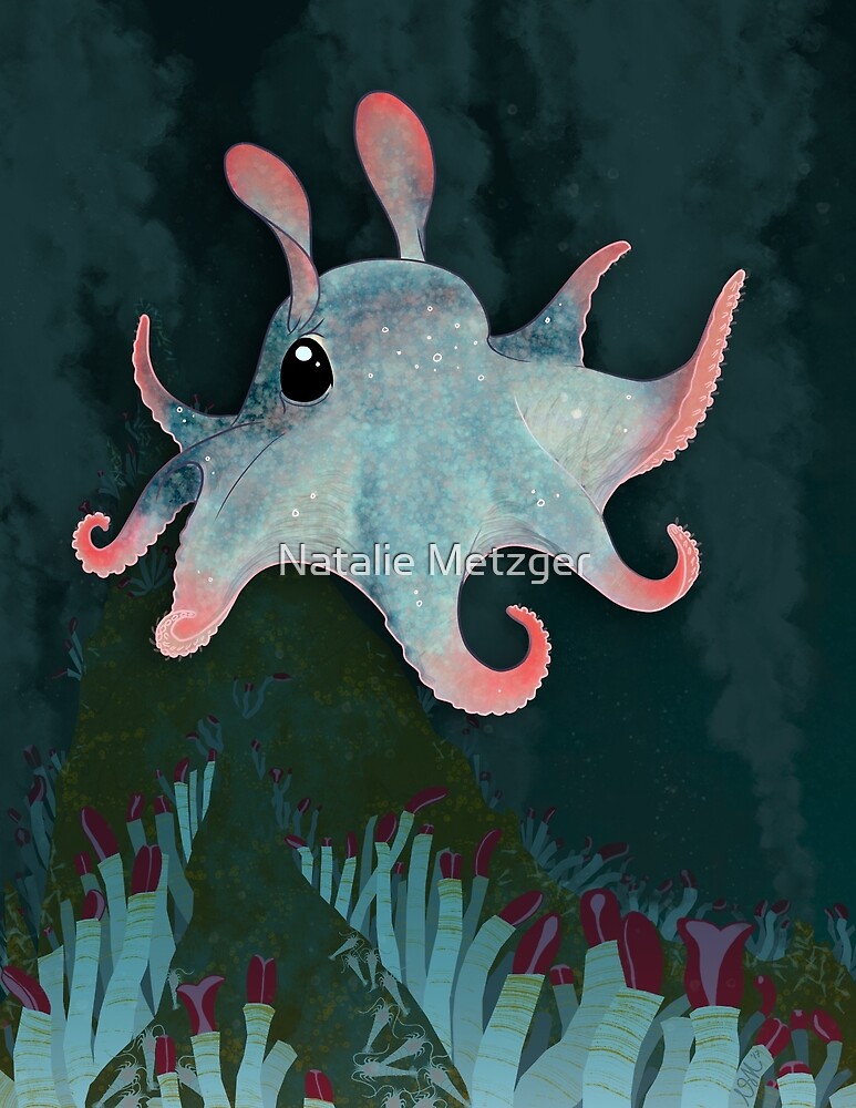 "Dumbo Octopus" by Natalie Metzger | Redbubble