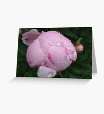 Awakening Greeting Card