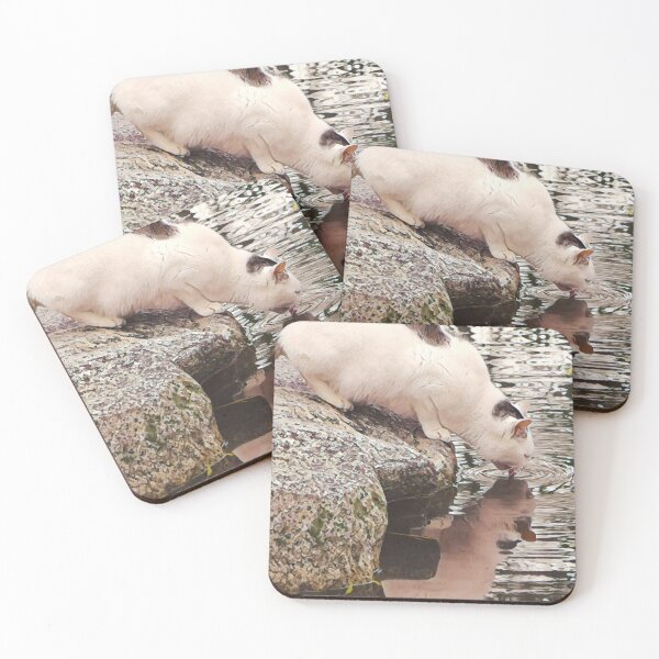 Item preview, Cool Cat Drinking with Reflection on Water designed and sold by TastyTonic.