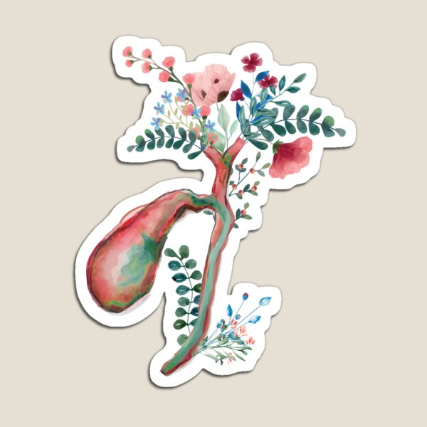 Artikelvorschau, Florales anatomisches menschliches Gallenblasen-Dekor-Design entworfen und verkauft von redbubbleart18.