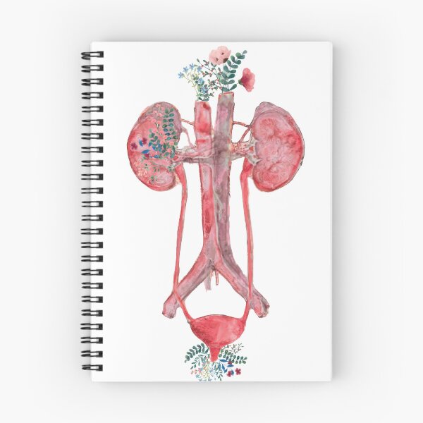 Item preview, Watercolor Floral Anatomical Urinary Tract System Design designed and sold by redbubbleart18.