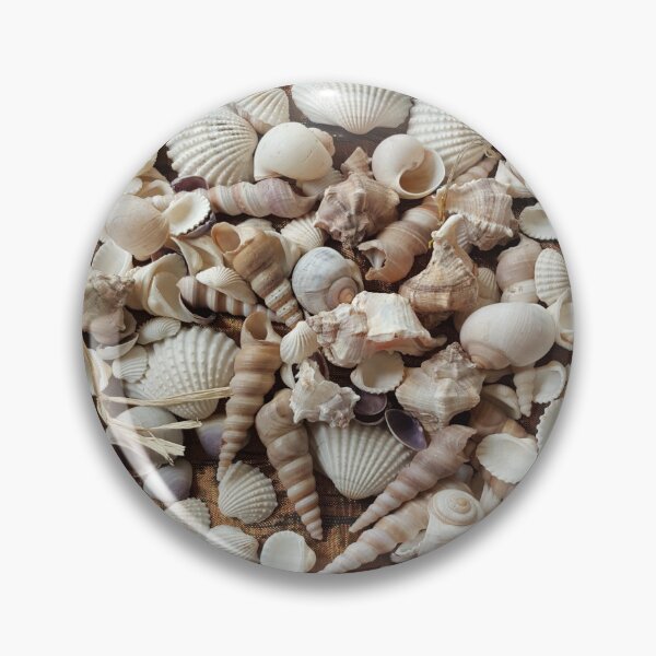 Item preview, Tropical Sea Shells Photography designed and sold by URSparklingShop.