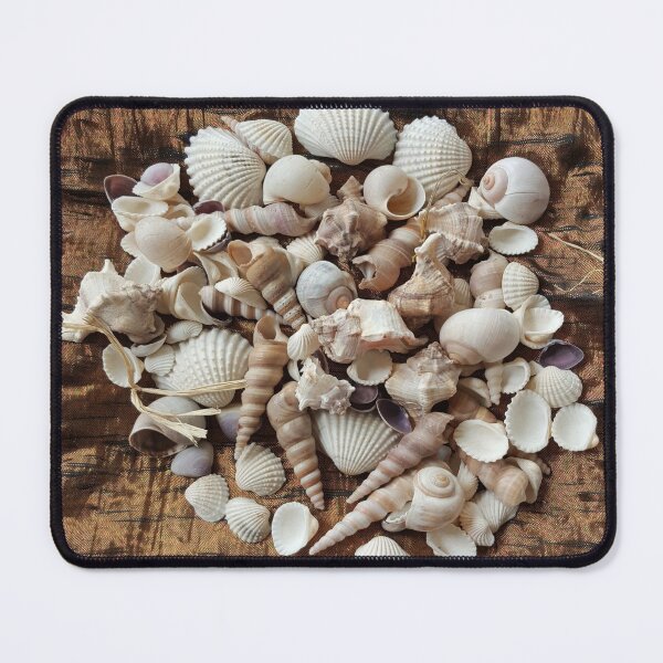 Item preview, Tropical Sea Shells Photography designed and sold by URSparklingShop.