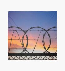 Freedom and Security. Scarf