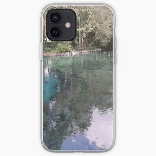 The Amazingly Beautiful Ginny Springs iPhone Soft Case