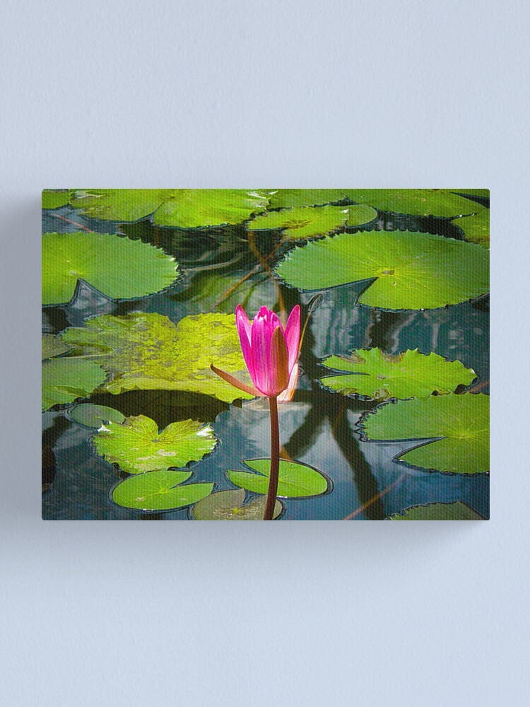 Alternate view of The Pond Canvas Print