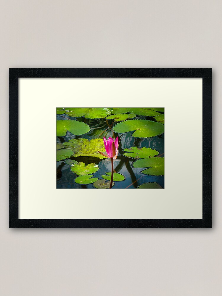 Alternate view of The Pond Framed Art Print