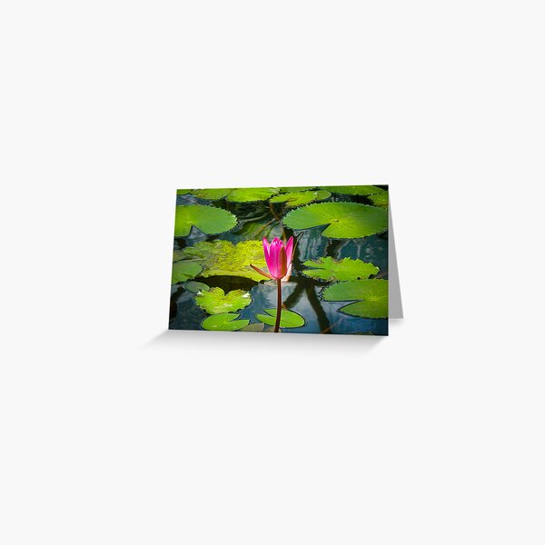 The Pond Greeting Card