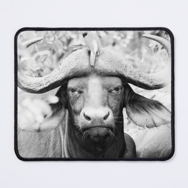 Item preview, Africa Buffalo designed and sold by Sandra Le Roux.