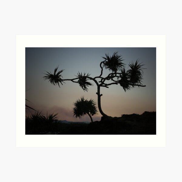 Dark Wind Art Print