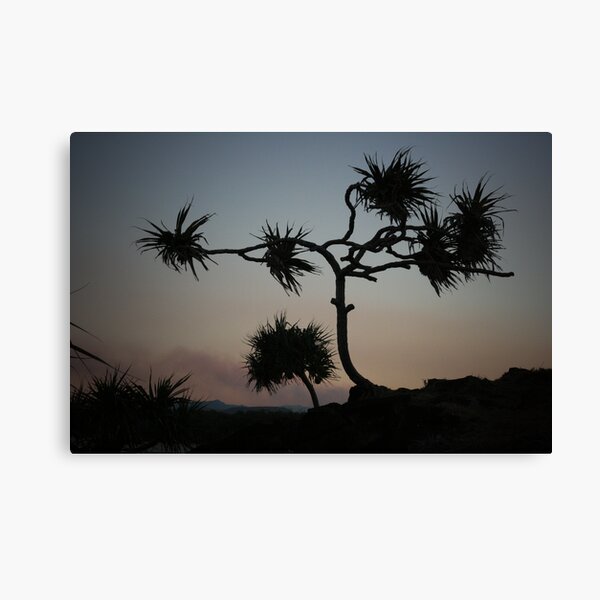 Dark Wind Canvas Print