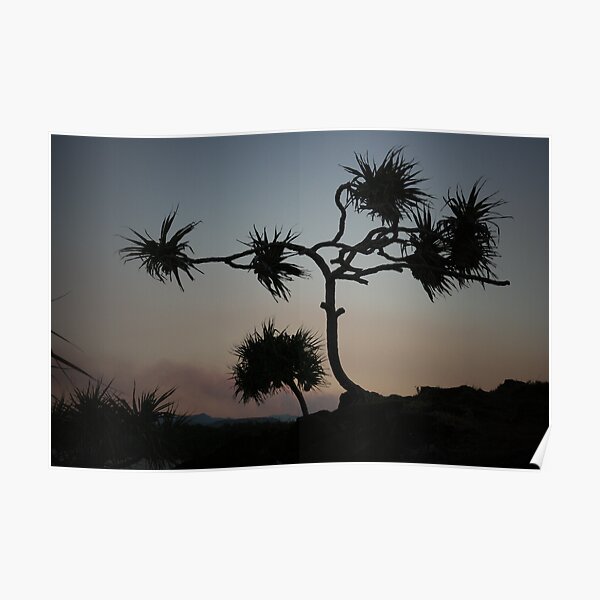 Dark Wind Poster