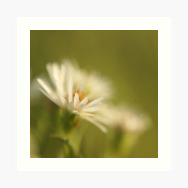innocence Art Print