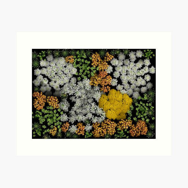 Flower Expressions Dark Floral Art Print