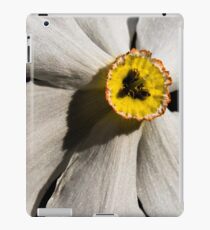 Poet's Daffodil iPad Case/Skin