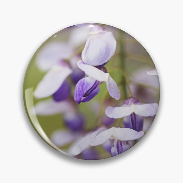Item preview, Wisteria Flowers Are Graceful designed and sold by Joy Watson - Natural Light Photography .