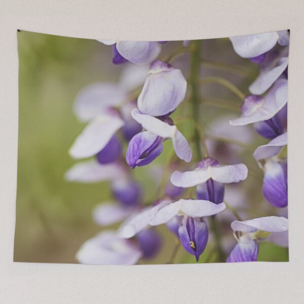 Item preview, Wisteria Flowers Are Graceful designed and sold by Joy Watson - Natural Light Photography .