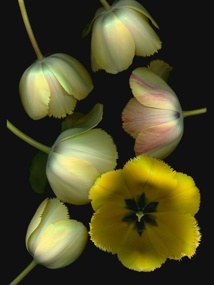 Thumbnail 7 of 7, Classic T-Shirt, Tulip Fantasy Dark Floral designed and sold by LindasPhotoArt.