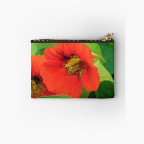 Item preview, Backlit orange nasturtium flower Leith Park 20170628 0803 designed and sold by Fred Mitchell.