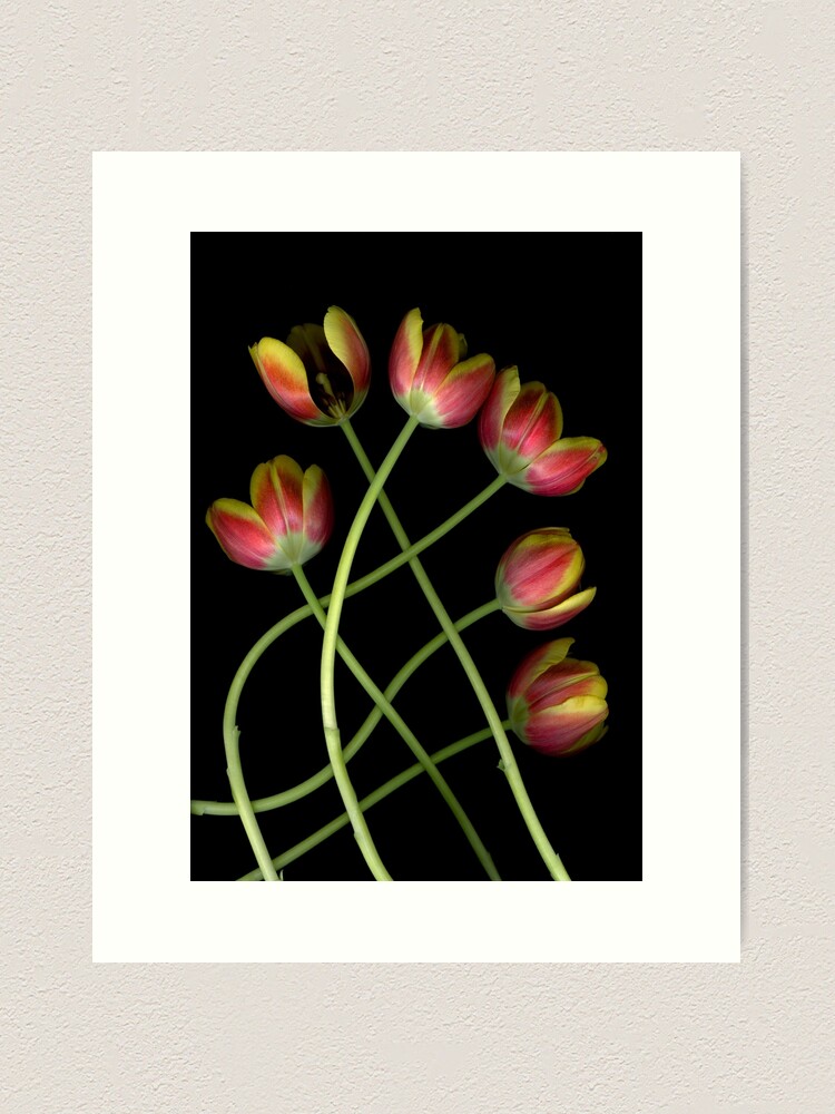 Funda de iPhone for Sale con la obra «pétalos de rosa floral oscuro» de  LindasPhotoArt