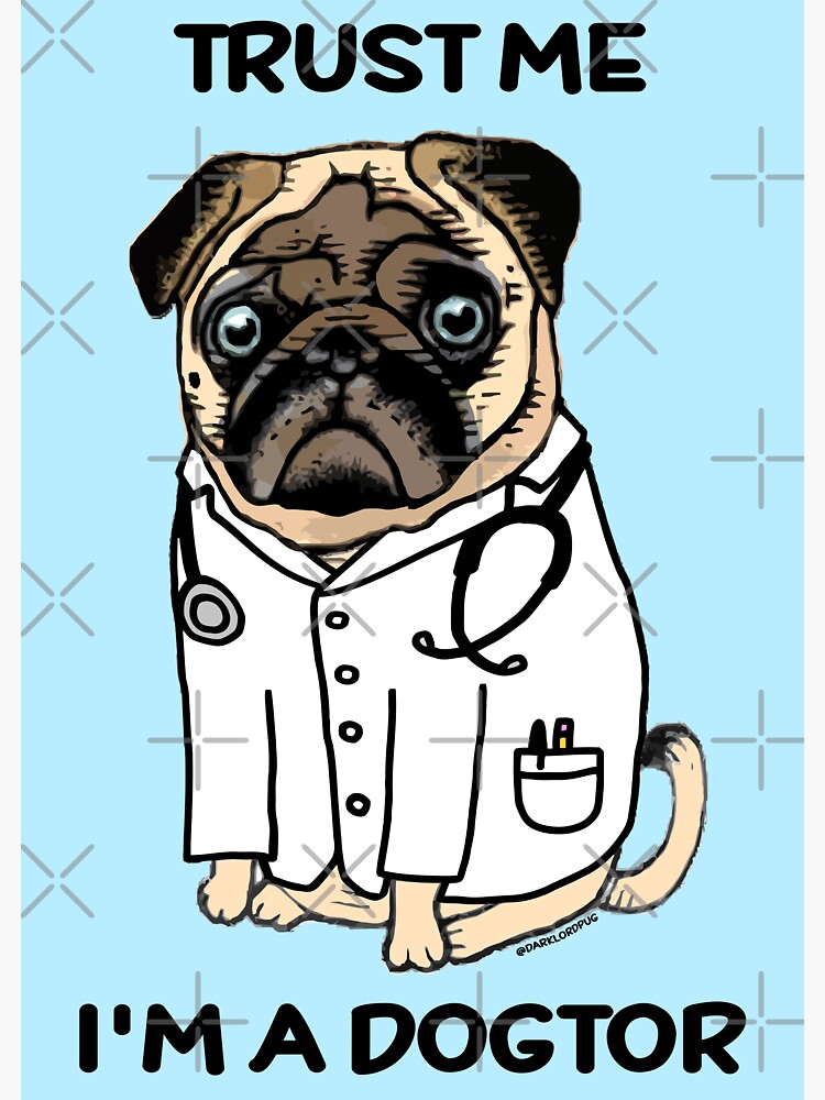 trust me im a dogtor