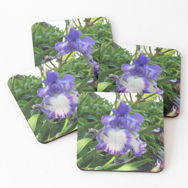 Item preview, Purple and white iris designed and sold by greentiger1.