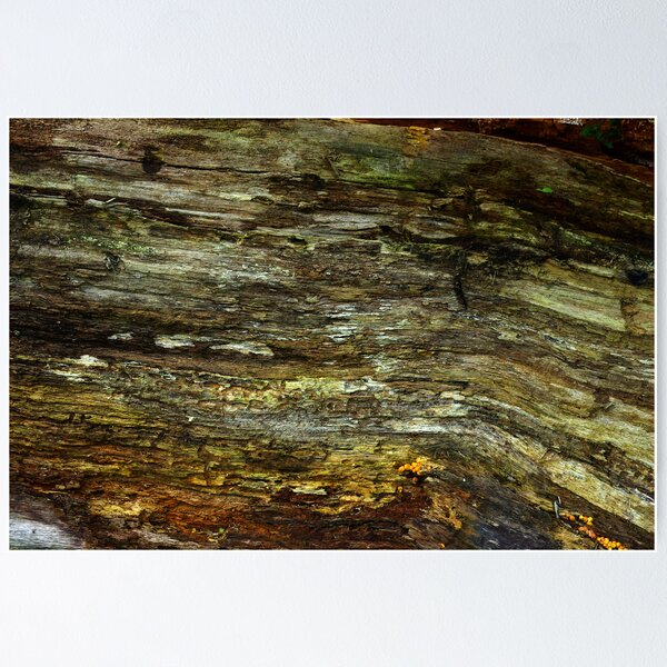 Artikelvorschau, Wood Texture #1 entworfen und verkauft von Trevor Kersley.