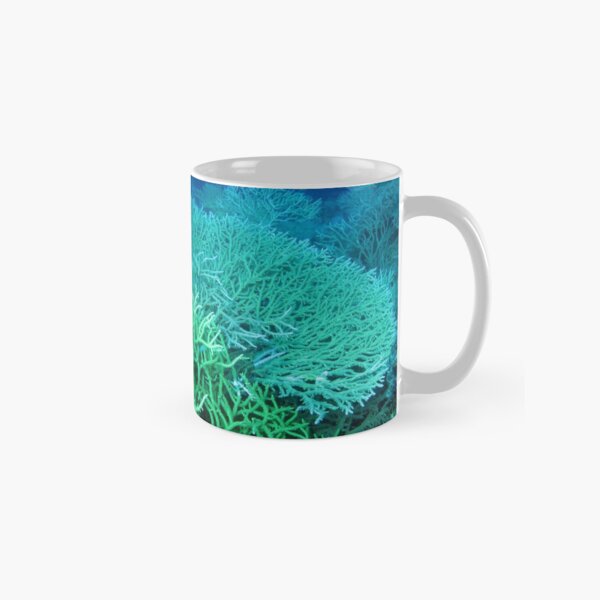 Fan-plate wall at Damunu Bay Classic Mug