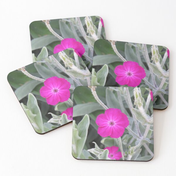 Item preview, Pink rose campion designed and sold by greentiger1.
