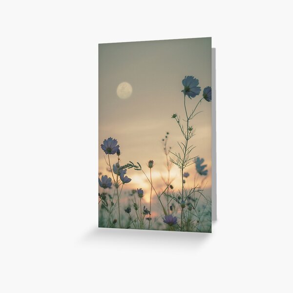 Item preview, Nature wonders  designed and sold by Daisy Carnival.