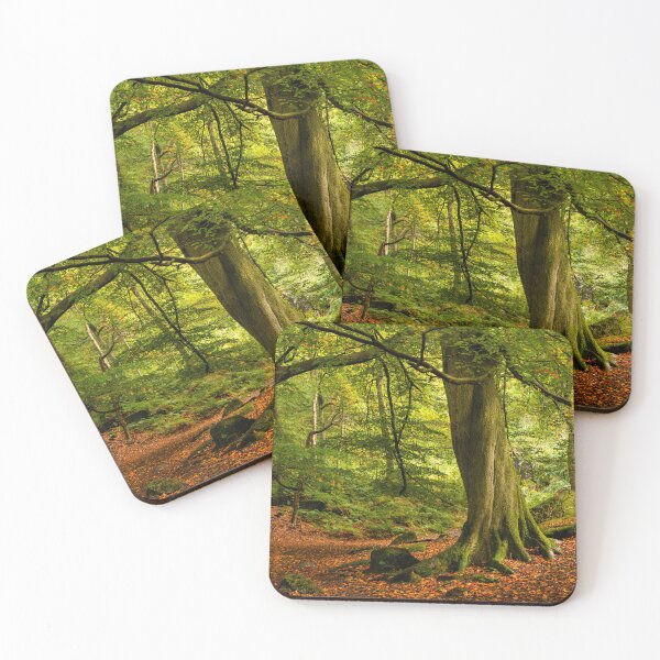 Item preview, Padley Gorge Woodland designed and sold by Dave Hare Photography.