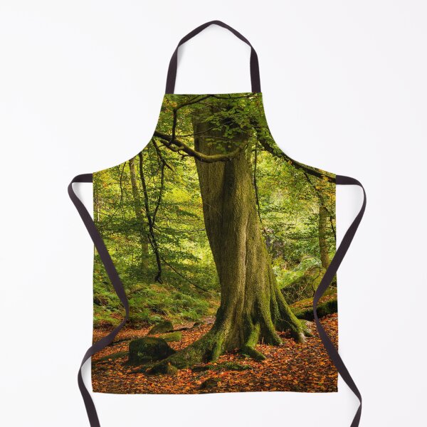 Item preview, Padley Gorge Woodland designed and sold by Dave Hare Photography.
