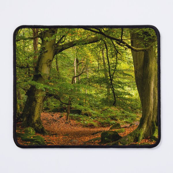 Item preview, Padley Gorge Woodland designed and sold by Dave Hare Photography.