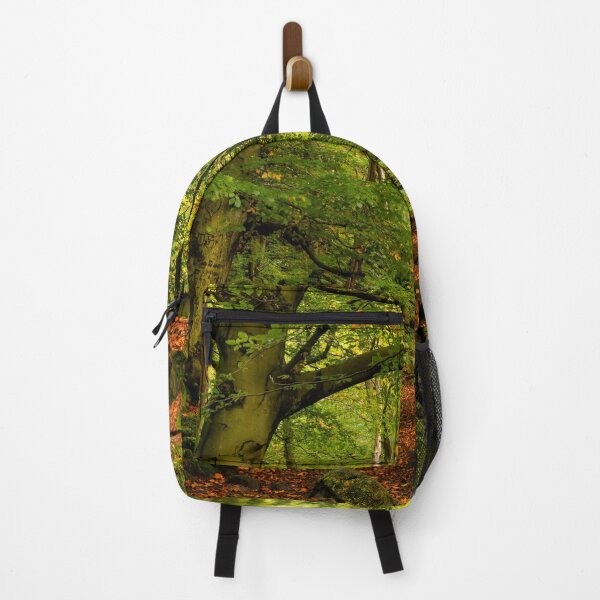 Item preview, Padley Gorge Woodland designed and sold by Dave Hare Photography.