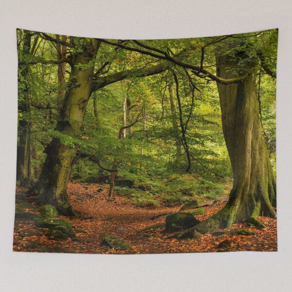 Item preview, Bosque de la garganta de Padley designed and sold by Dave Hare Photography.