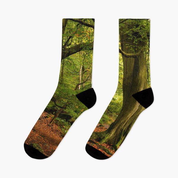 Item preview, Padley Gorge Woodland designed and sold by Dave Hare Photography.
