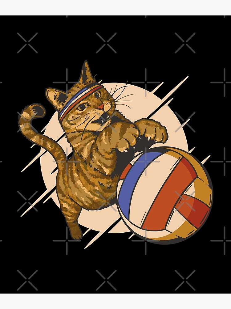 "volleyball cat" Poster for Sale by DerSenat Redbubble