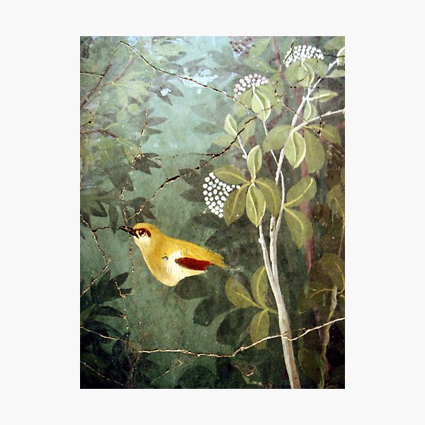 Fresque romaine d'un Oriole d'or, Pompéi. Impression photo