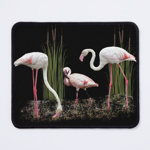 Item preview, Greater flamingo and Lesser flamingo, birds of Africa designed and sold by TShirtsundMehr.