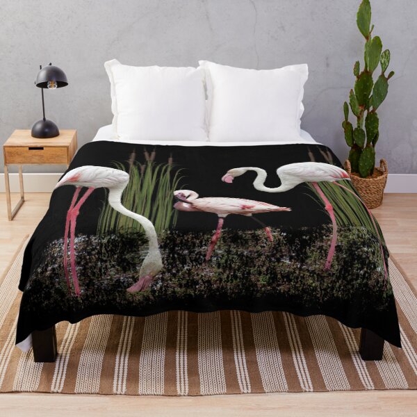 Item preview, Greater flamingo and Lesser flamingo, birds of Africa designed and sold by TShirtsundMehr.