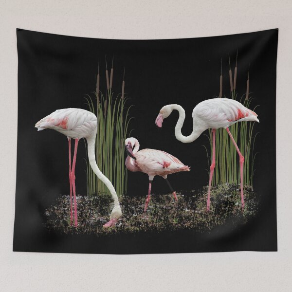 Item preview, Greater flamingo and Lesser flamingo, birds of Africa designed and sold by TShirtsundMehr.