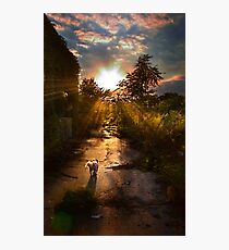 Adventurer Photographic Print