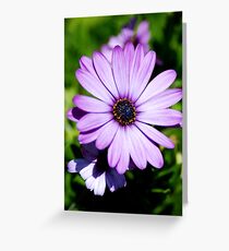 Precious Greeting Card