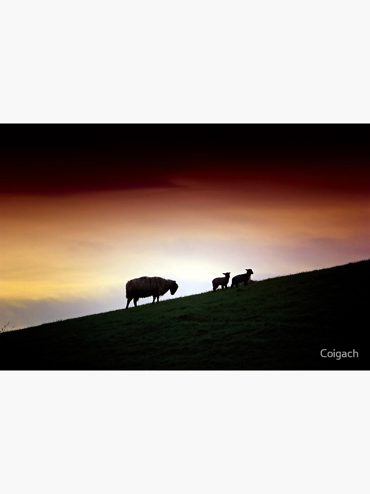 Thumbnail 7 of 7, Framed Art Print, Cumbrian Spring designed and sold by Coigach.