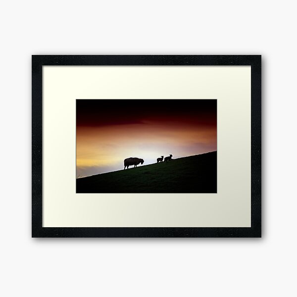 Framed Art Print